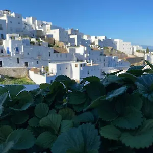 https://casa-vejer-de-la-frontera.es-andalucia.com